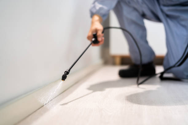 Professional exterminator conducting IPM assessment in El Campo